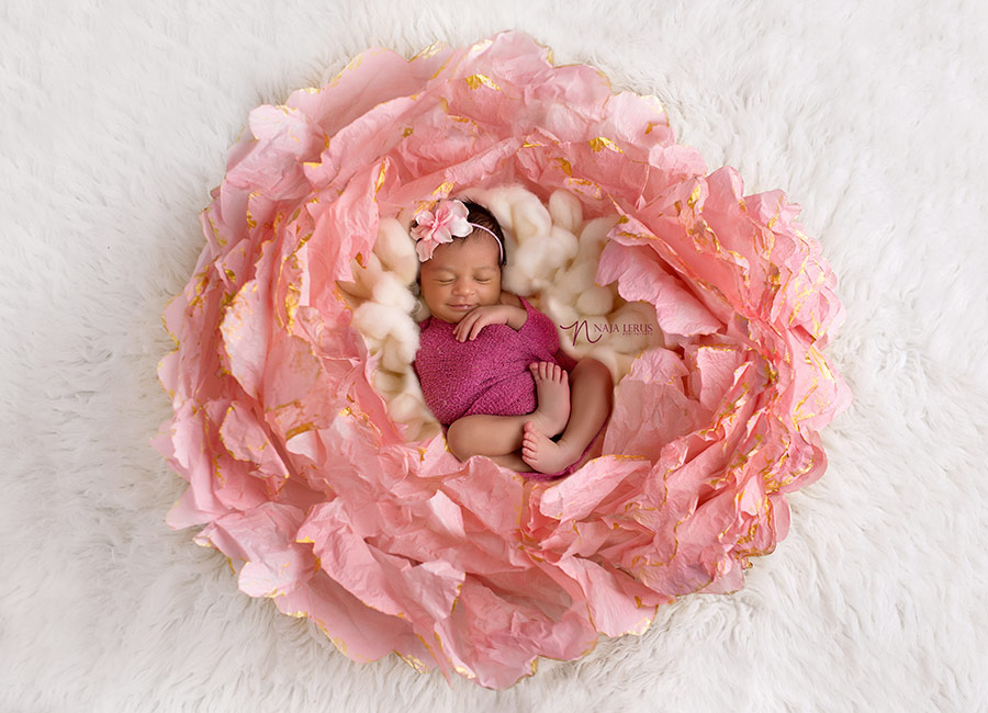 rose flower handmade prop for newborn pictures chicago il