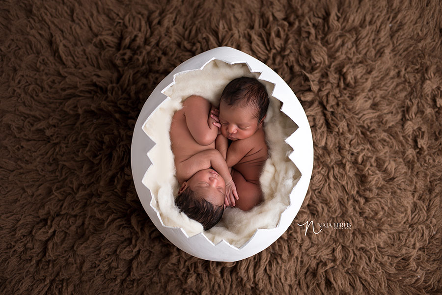 twin newborn babies in egg chicago newborn photographer