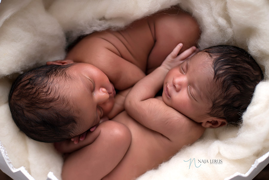 newborn twins chicago IL posing