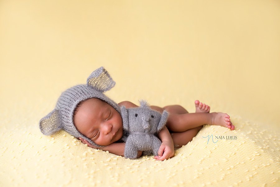 elephant prop theme newborn session oak lawn iL