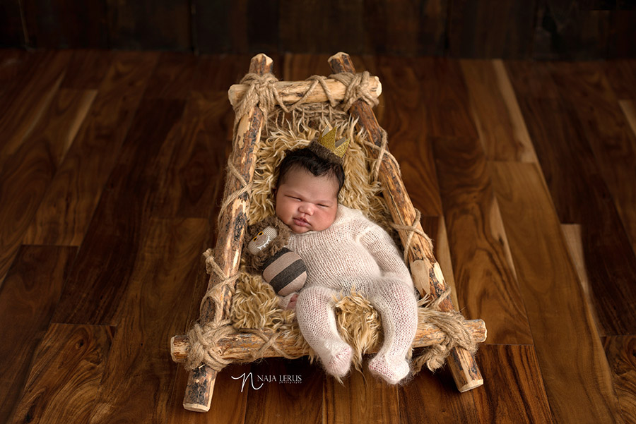 where the wild things are nursery newborn photos chicago