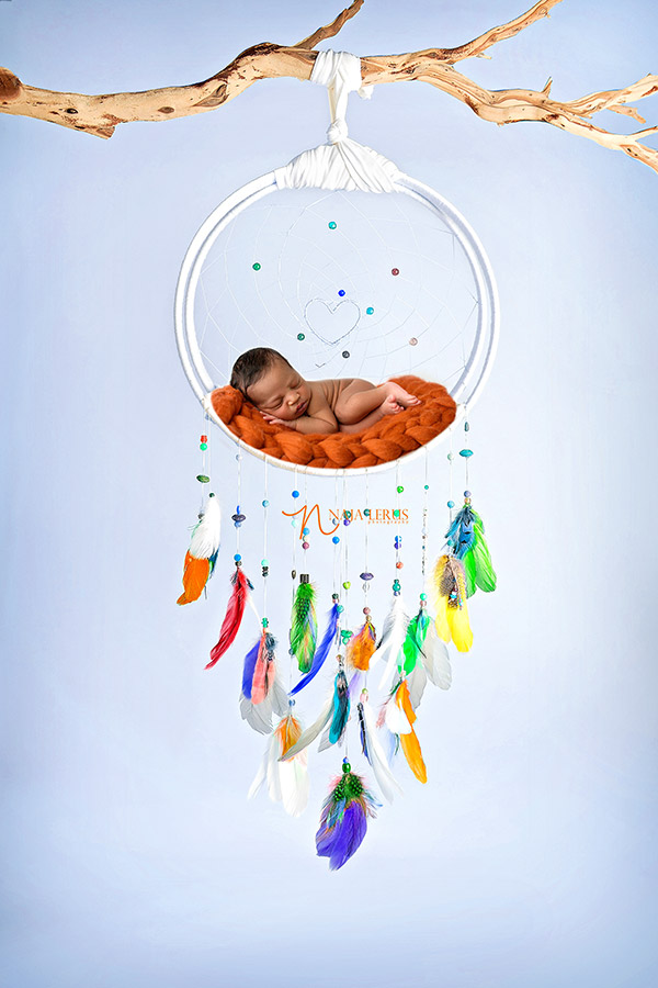 dreamweaver newborn prop chicago IL