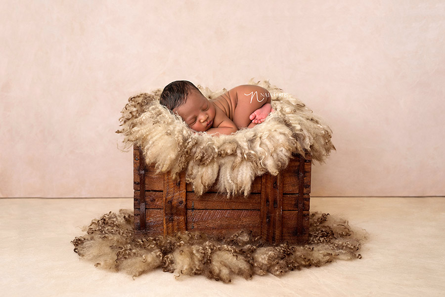 fur prop newborn photos chicago IL