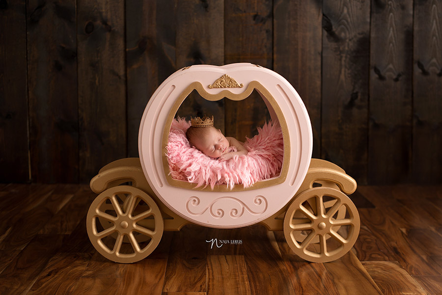 newborn baby girl chicago princess carriage