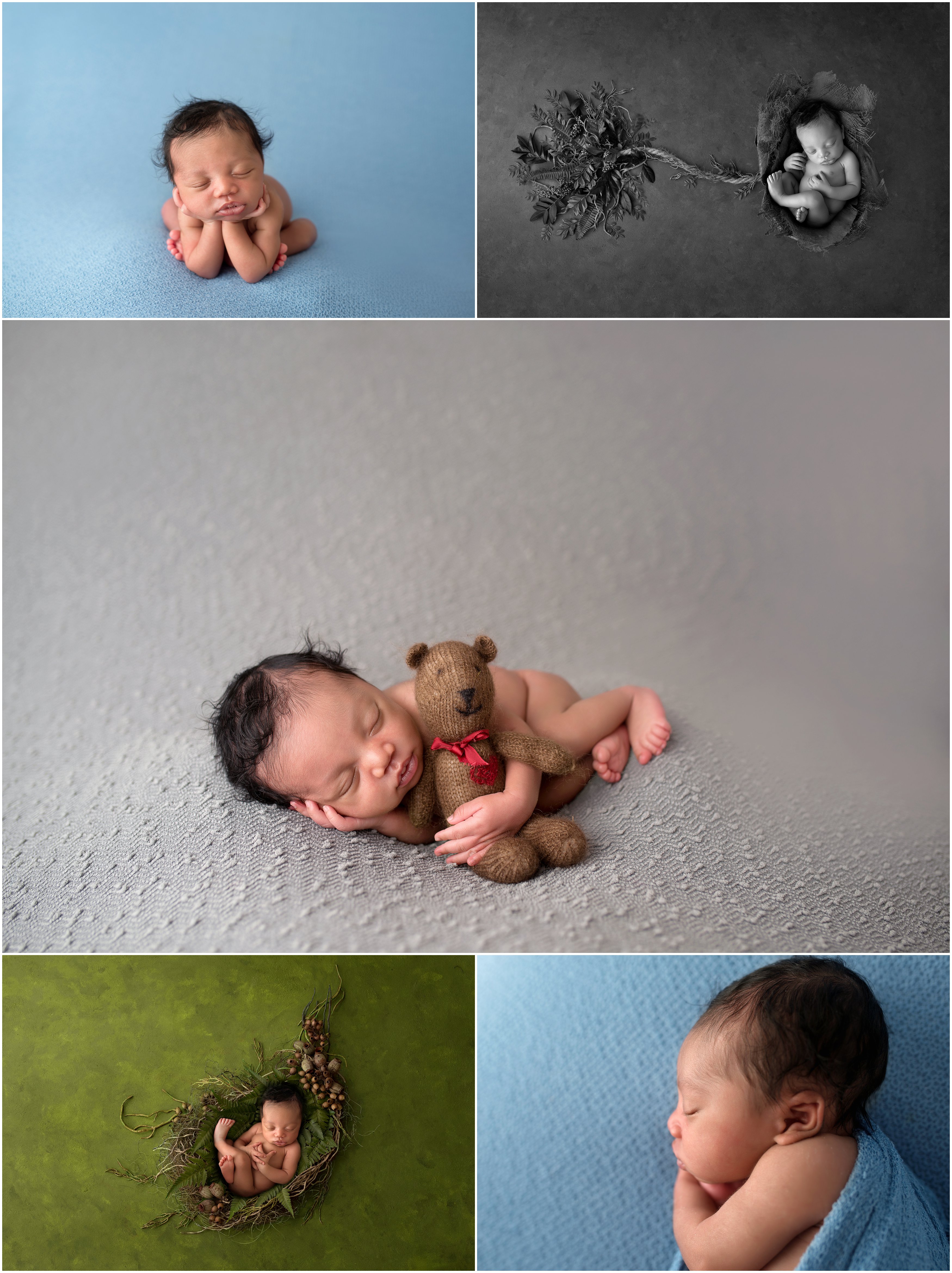 newborn photography collage chicago IL best newborn photos