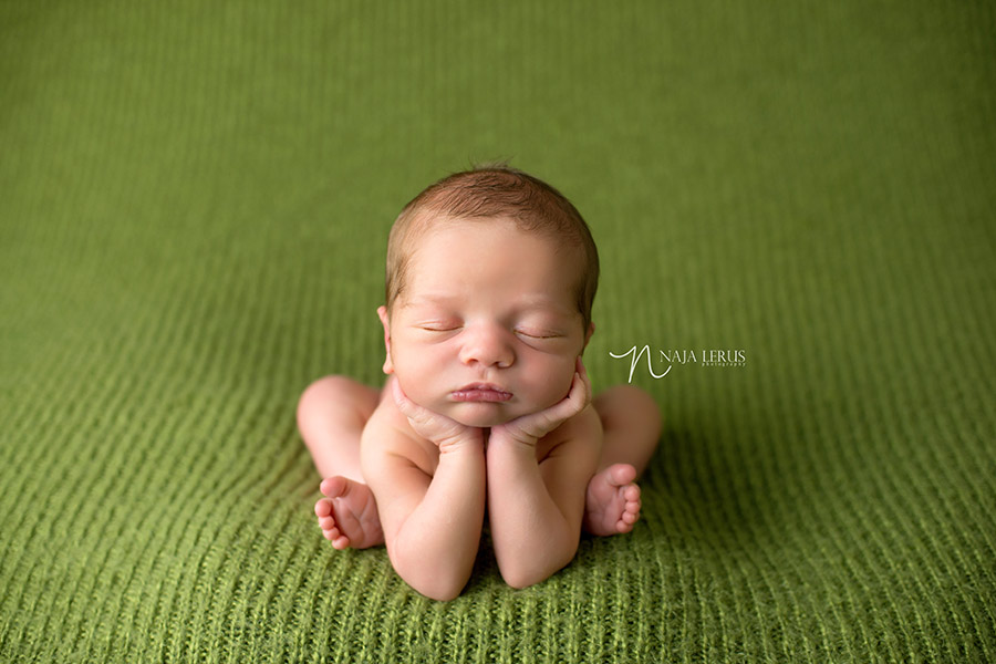 froggy newborn photographer chicago