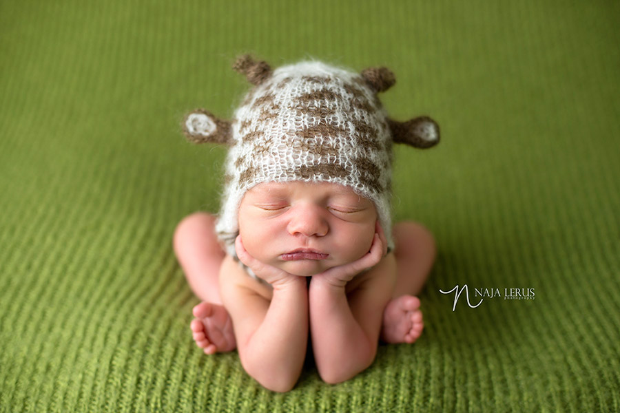 giraffe hat nursery theme newborn photography chicago animal