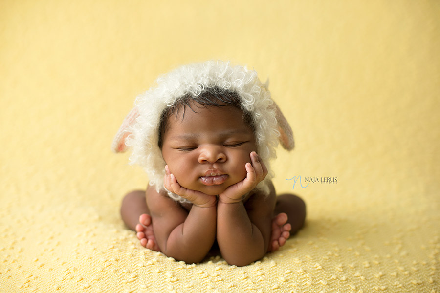 lamb hat newborn photography chicago