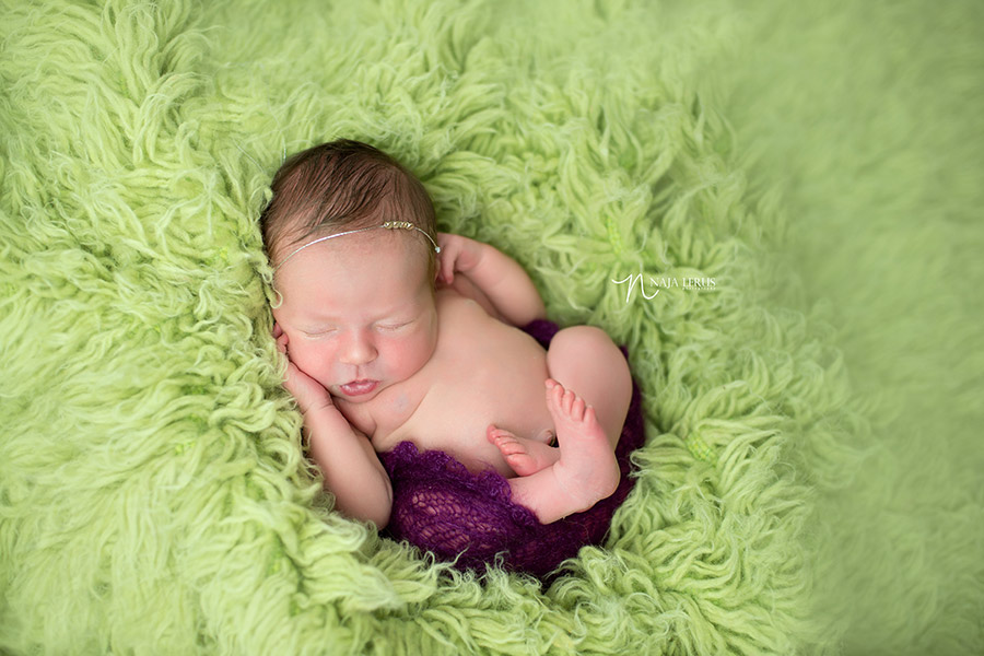 prop shot homer glen newborn photographer