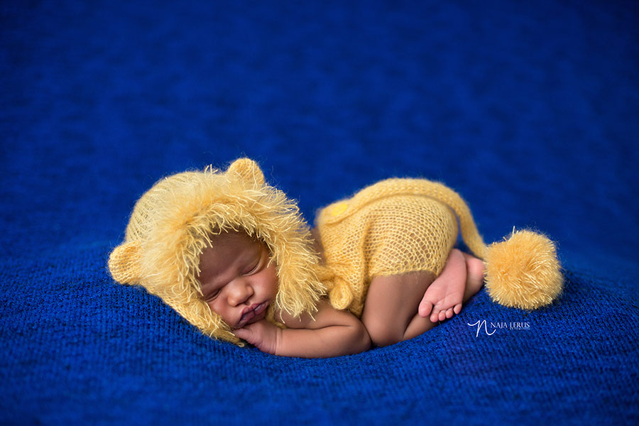 lace lion cub set by the knitting bitty newborn prop