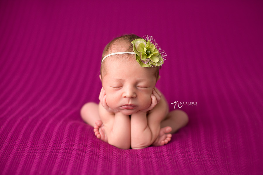 froggy pose newborn portraiture chicago