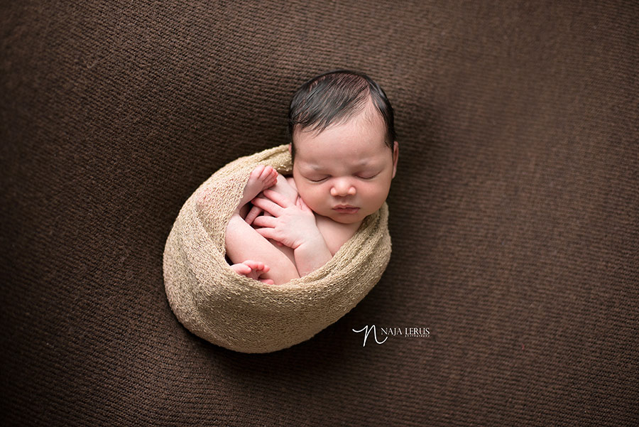 chicago-beverly-newborn-photos-06