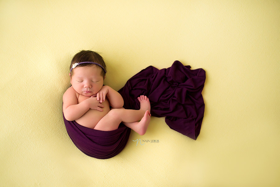 northwestern university purple in newborn session chicago IL