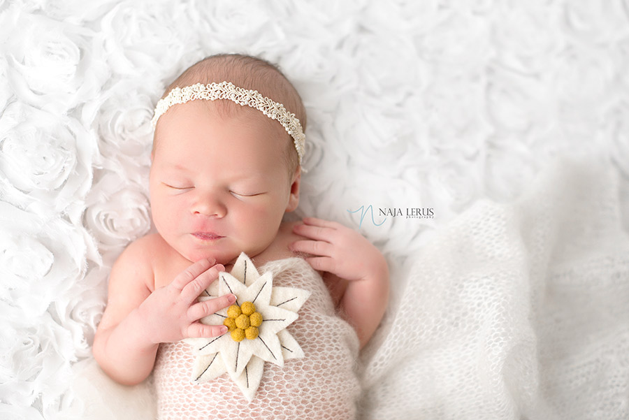 edelweiss flower prop austrian flower newborn chicago